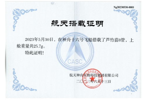 在太空旅行5個月！華潤水泥研發新產品搭乘神舟十六號返回地球